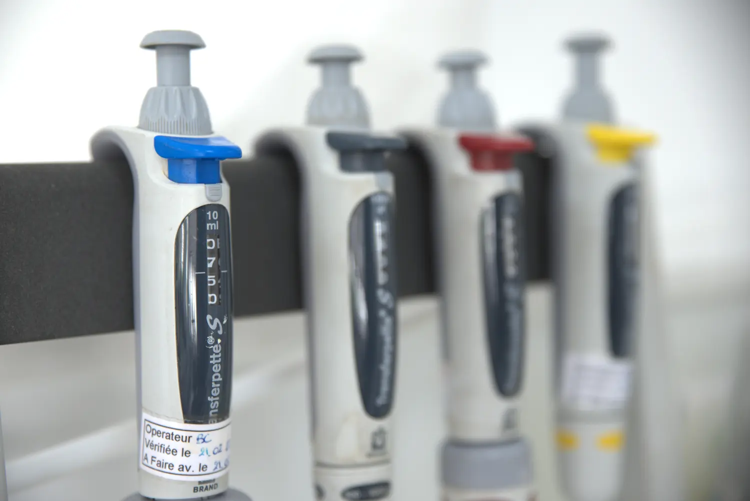 Contrôle après fermentation et en cours d'élevage - 2ème image d'illustration