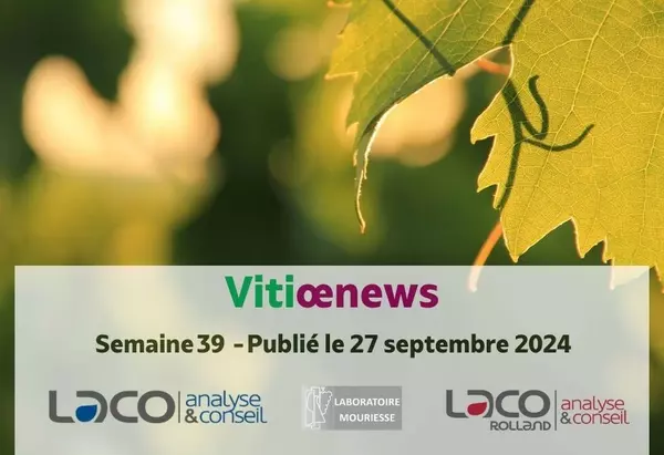 Vitiœnews - Semaine 39 - 2024